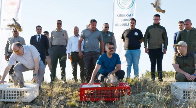 Kınalı keklikler doğaya bırakıldı