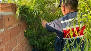 Jandarma operasyon için düğmeye bastı