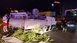 Mısır yüklü kamyonet devrildi, yaralılar var