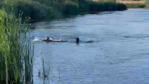Serinlemek için ırmağa giren genç kurtarılamadı