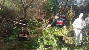 Jandarma hepsini imha etti