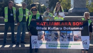 Hayvanseverler zalimce uygulamalara tepki gösterdi