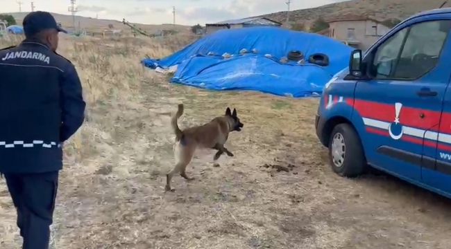 Narkotik köpeği Cesur'dan kaçmaz 