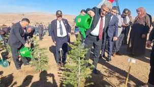 Mehmetçik fidanları toprakla buluşturdu