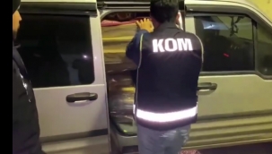 Operasyonda 345 bin adet ele geçirildi.