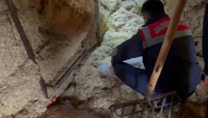 Jandarma samanlıkta gördüğüne inanamadı