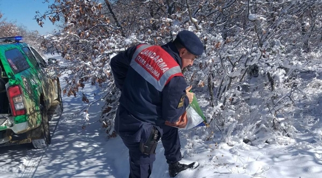 Yaban hayvanları için doğaya yem bırakıldı