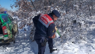 Yaban hayvanları için doğaya yem bırakıldı