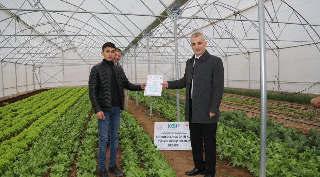 Hibeyle kurulan seralarda hasat bereketi