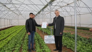 Hibeyle kurulan seralarda hasat bereketi