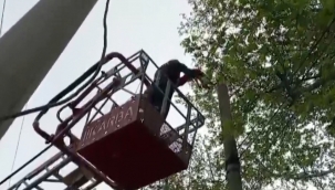 Direkte mahsur kalınca ekipler seferber oldu