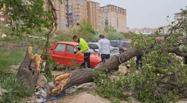 Fırtına etkili oldu ağacı gövdesinden kırdı