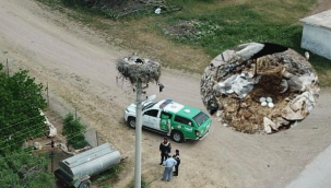 Göçmen leylekler 20 yılı aşkın köyün misafiri