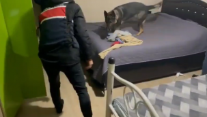 Didik didik arayıp buldular..!