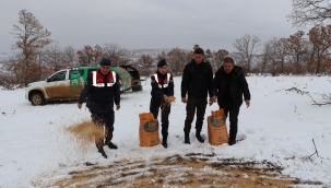 Jandarmadan yaban hayvanlarına şefkat eli