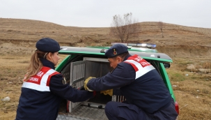 Ölmek üzereyken kurtarıldı