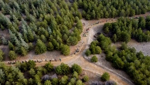 Her üyenin bir dikili ağacı olsun etkinliği