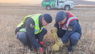 Ölmek üzereyken jandarma kurtardı