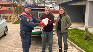 Jandarmadan içimizi ısıtan müdahale