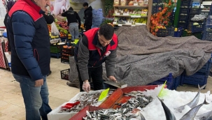 Balıklarda detaylı inceleme