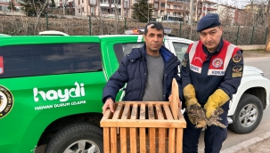 Hemen koruma altına alındı