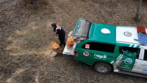 Jandarma yaban hayvanları için doğaya yem bıraktı