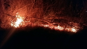 Ekipler güçlükle kontrol altına aldı 