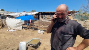 Gözü gibi baktığı hayvanları telef oldu