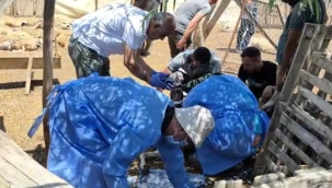 Kırıkkale'de küçükbaş hayvan ölümleri