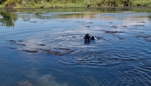 İki kişinin cansız bedenine ulaşıldı