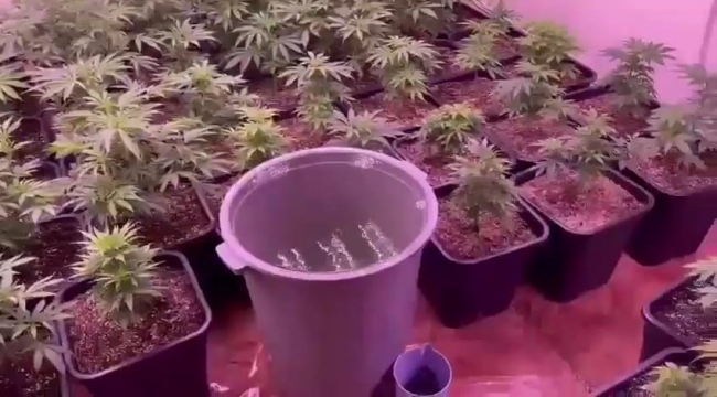 Kiraladığı dairede bakın ne yaptı