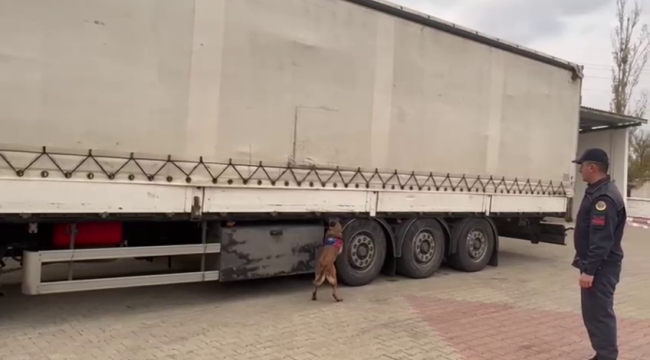 Jandarmanın operasyonunda yüklü miktarda ele geçirildi