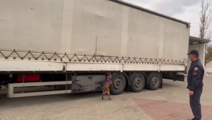 Jandarmanın operasyonunda yüklü miktarda ele geçirildi