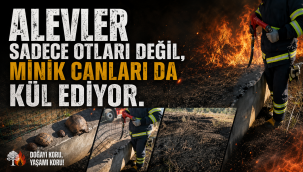 Yavrularıyla alevler içinde kaldı